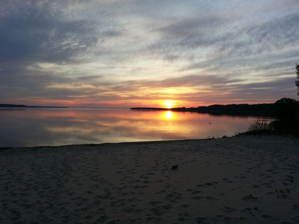 Beautiful Suttons Bay Cottage Pet Policy