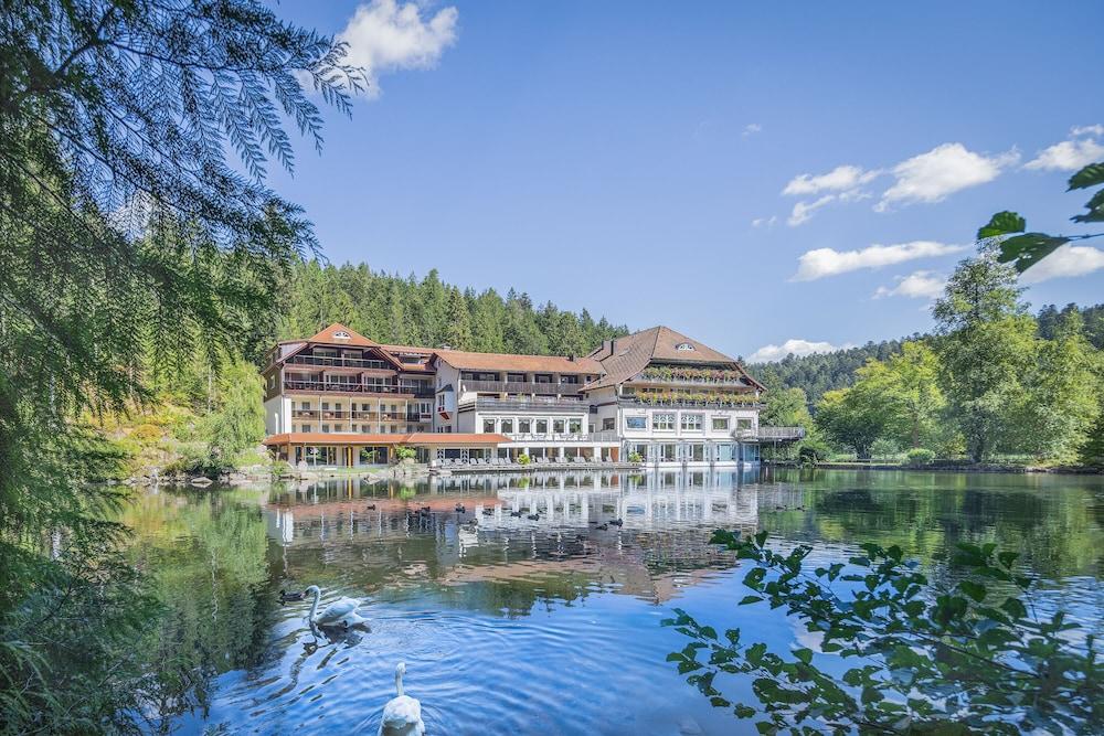 Pet Friendly Hotel Langenwaldsee