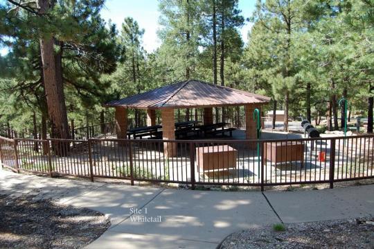Pet Friendly Whitetail Campground