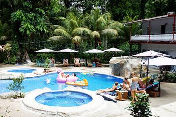 Pet Friendly Hotels In Puerto Viejo De Talamanca Cr Bringfido