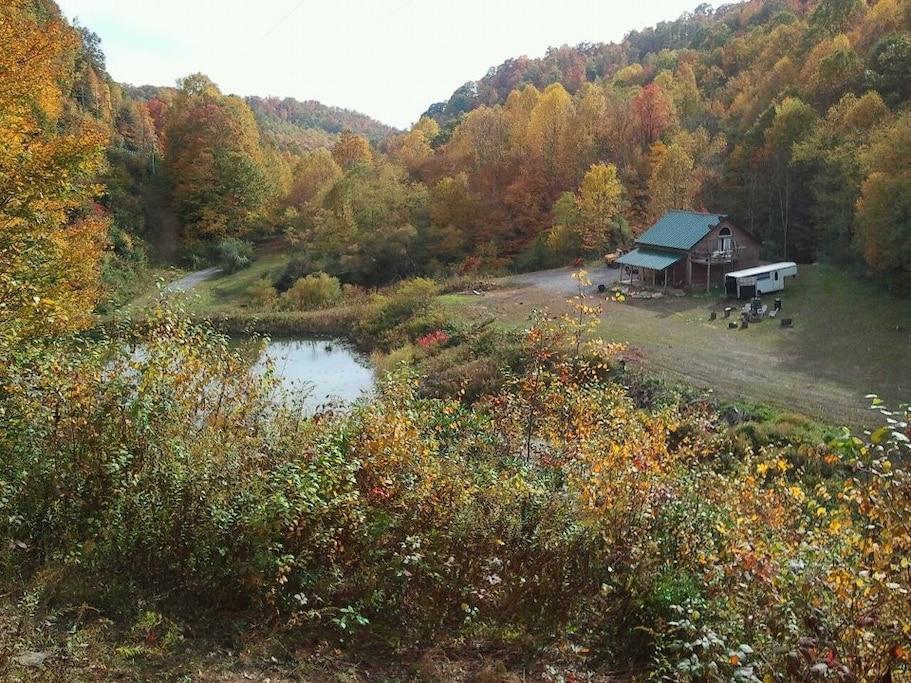 Winona Airbnb Rentals Pet Policy