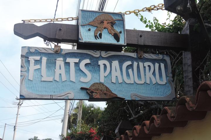 Pet Friendly Flats Paguru
