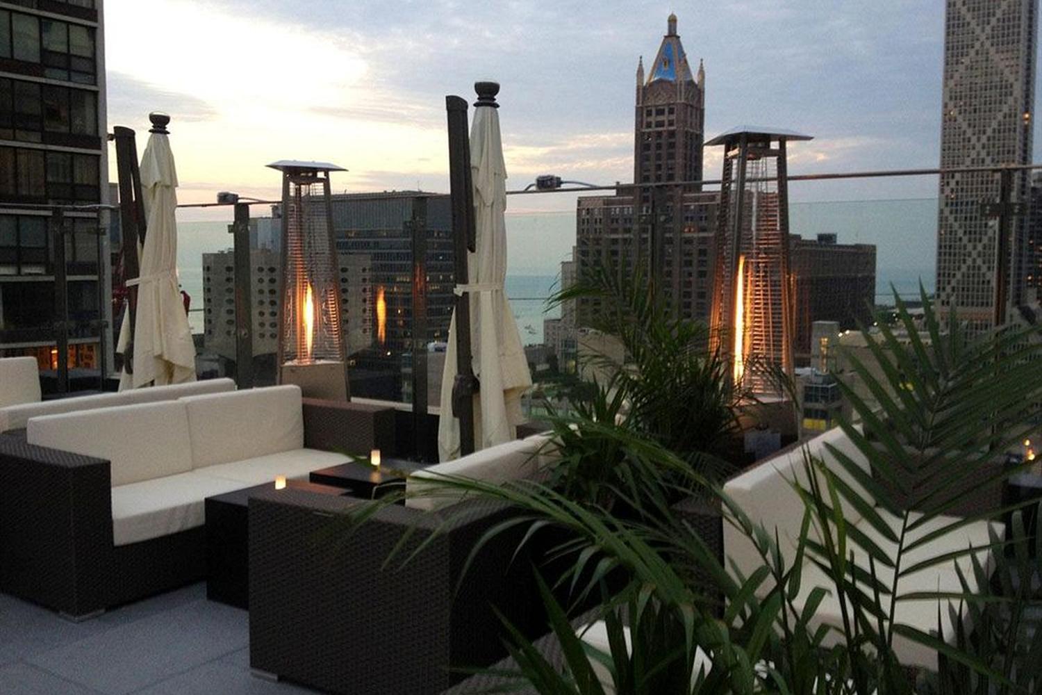 Ivy Boutique Hotel Pet Policy Ivy Boutique Hotel Pet Policy