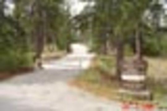 Pet Friendly Lightning Point Group Campground