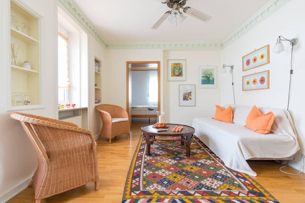 Pet Friendly Kronberg Airbnb Rentals