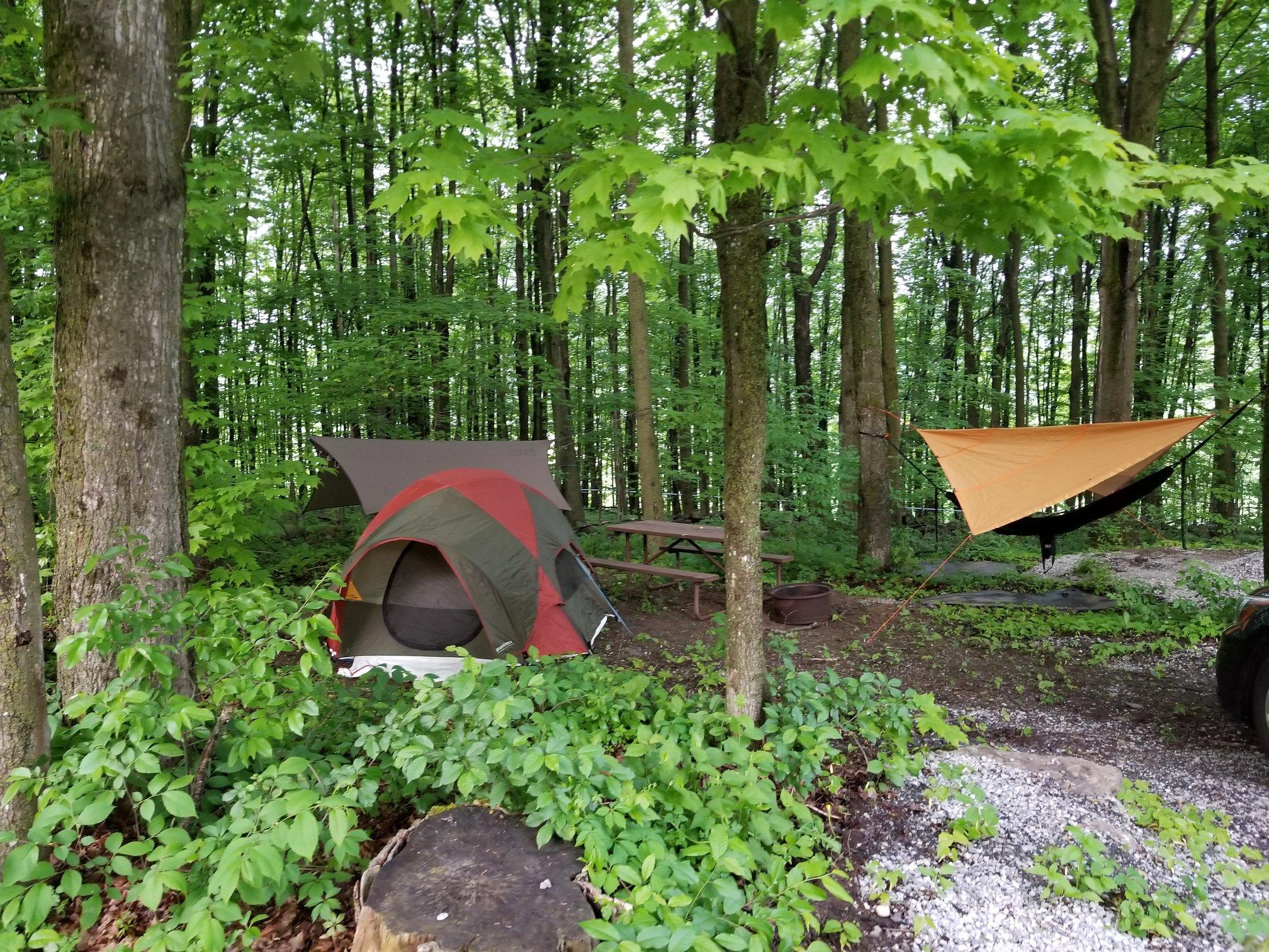 Pet Friendly Maple Grove Campground