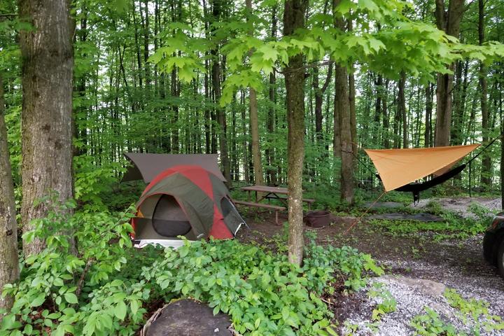 Pet Friendly Maple Grove Campground