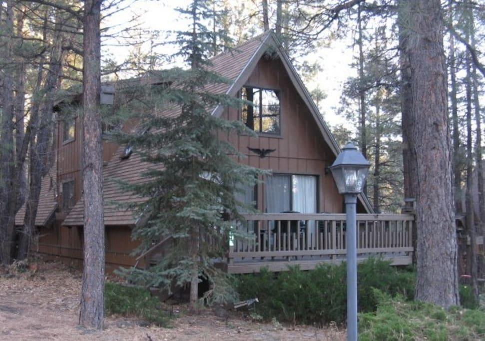 Munds Park Airbnb Rentals Pet Policy