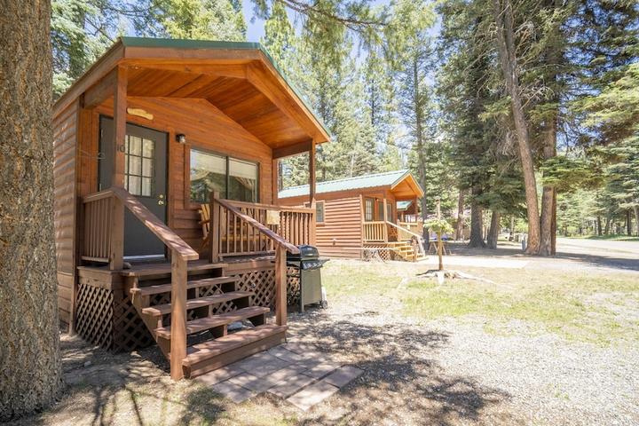 Pet Friendly The Lupine Cabin #10
