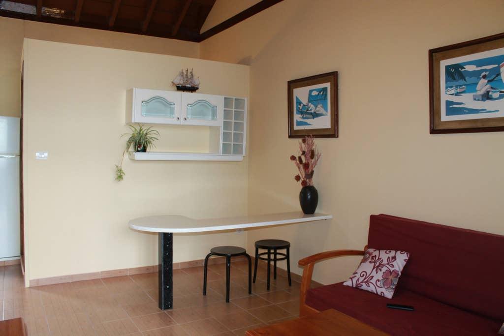 Pet Friendly Los Llanos de Aridane Airbnb Rentals