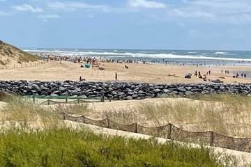 Picture of a vacation rental in Mimizan-Plage that allows pets.