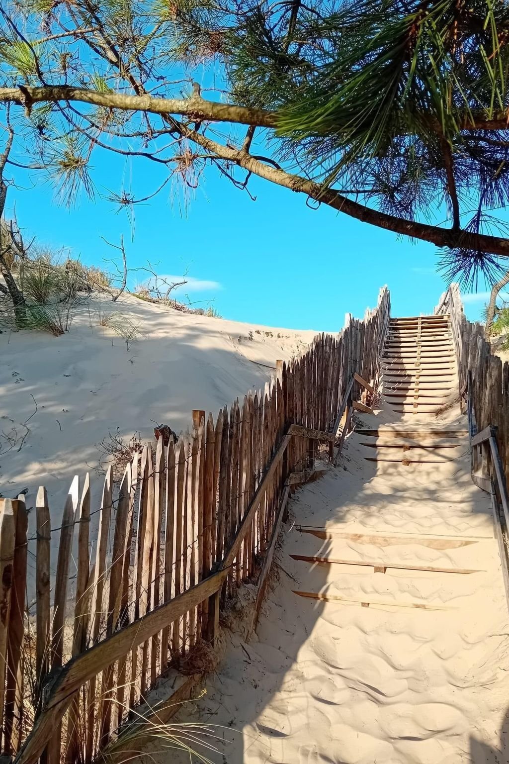 Photo of a vrbo that welcomes dogs in Mimizan-Plage.