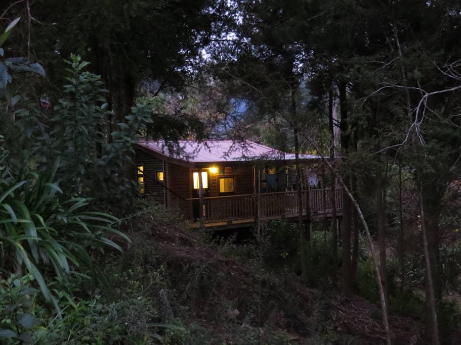 Pet Friendly Waipapa Airbnb Rentals