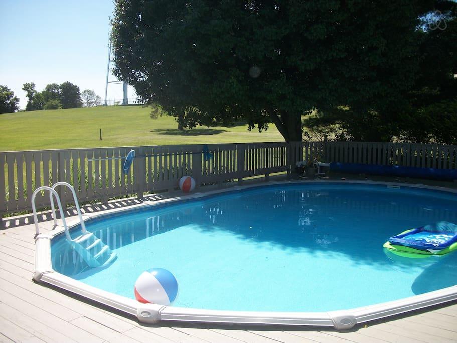 Belpre Airbnb Rentals Pet Policy