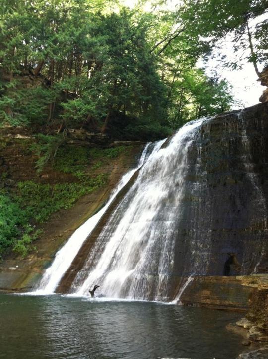 Pet Friendly Hotels In Alfred Ny Bringfido