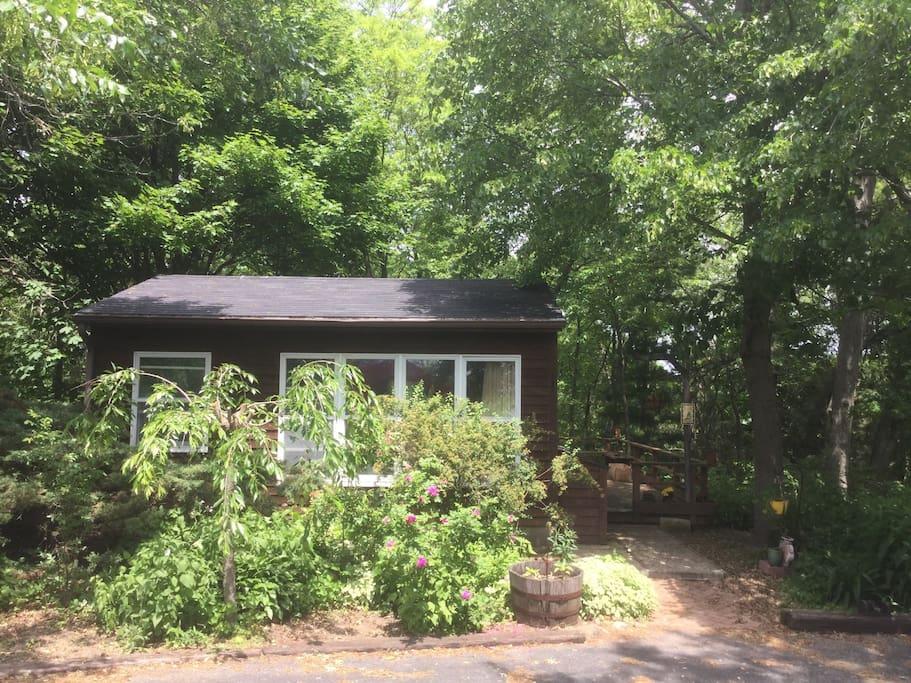 Stoughton Airbnb Rentals Pet Policy