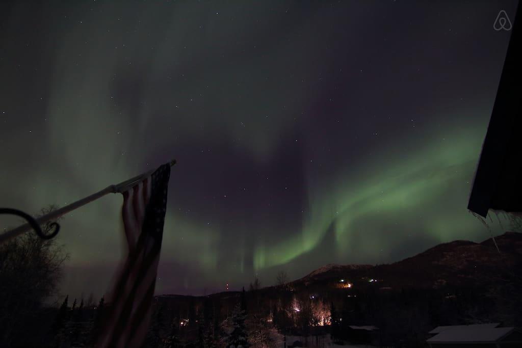 Chugiak Airbnb Rentals Pet Policy