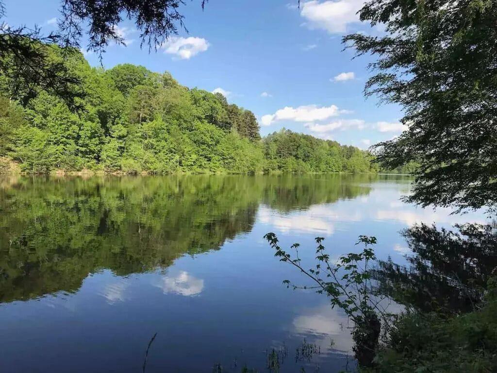 Pet Friendly Lake Cottage