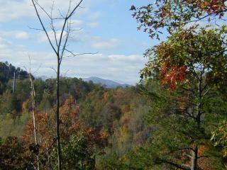 Pet Friendly Vacation Rentals In Bryson City Nc Bringfido