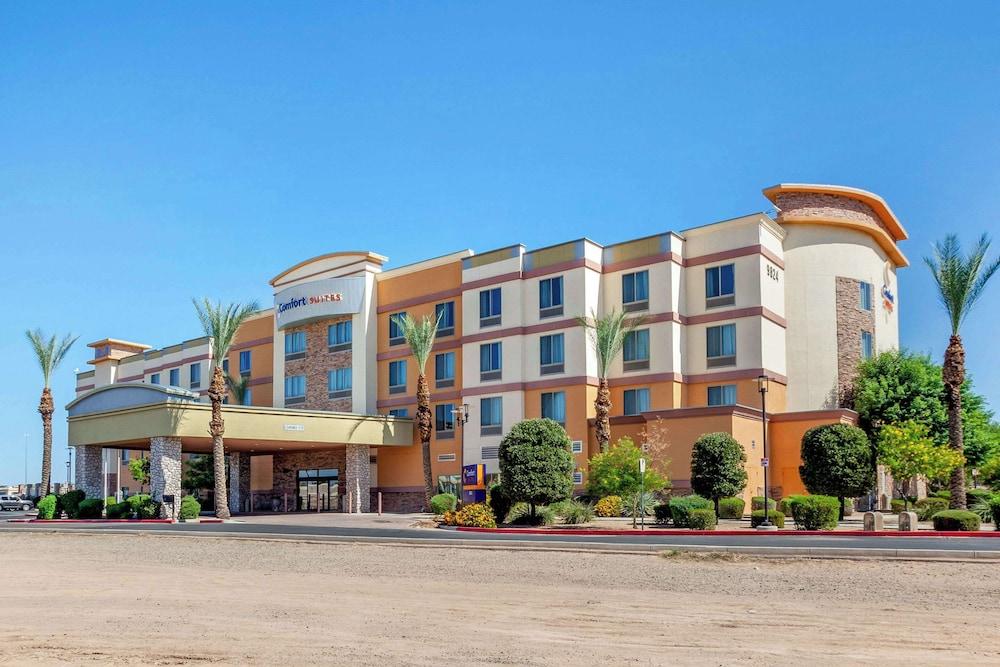 Pet Friendly Comfort Suites Glendale State Farm Stadium Area