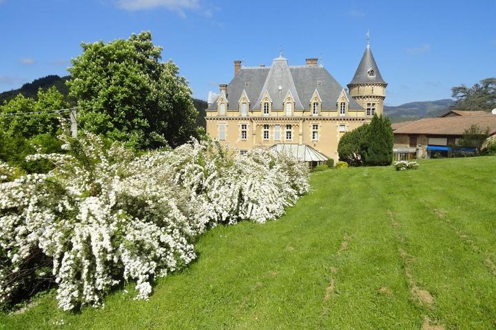 Pet Friendly Château d'Urbilhac