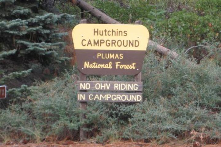 Pet Friendly Hutchins Campground