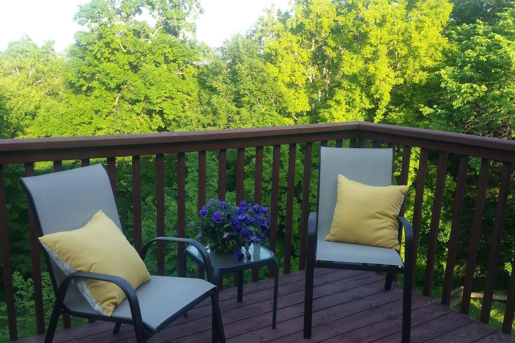 Pet Friendly Winsted Airbnb Rentals