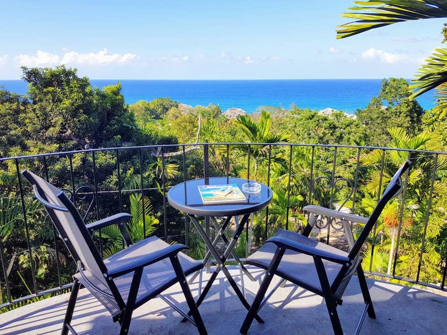 Ocho Rios Airbnb Rentals Pet Policy