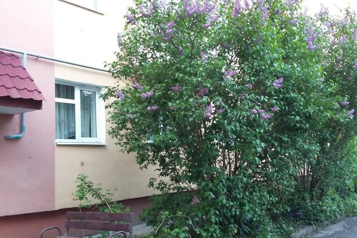 Pet Friendly Veliky Novgorod Airbnb Rentals