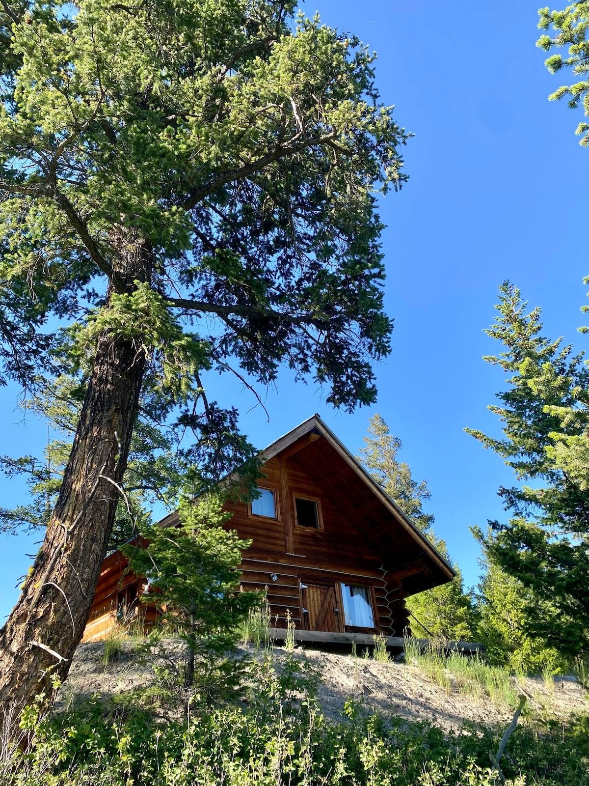 Photo of an airbnb that allows dogs in Chilko Lake, BC.