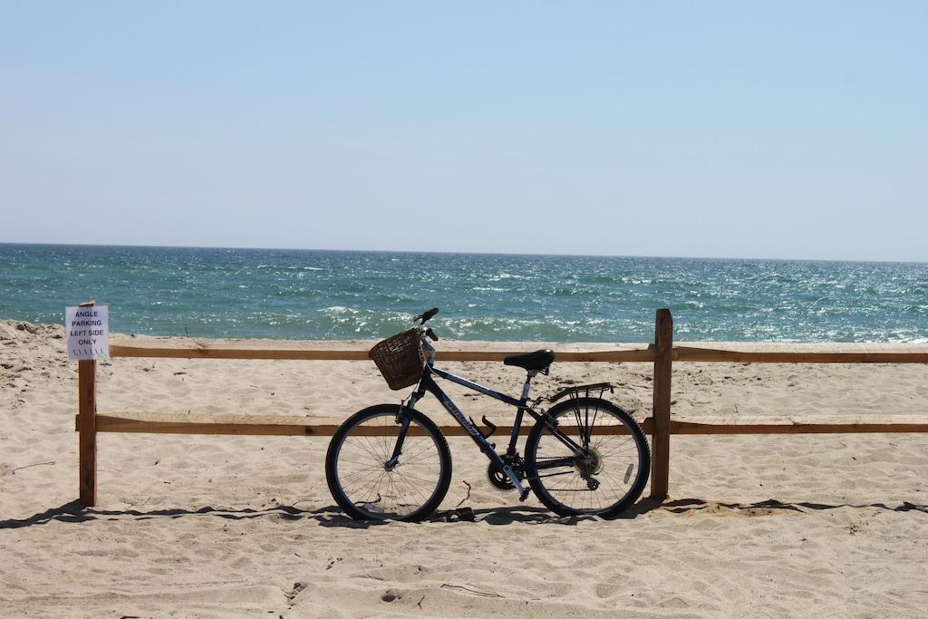 Beautiful Spot by the Beach Pet Policy