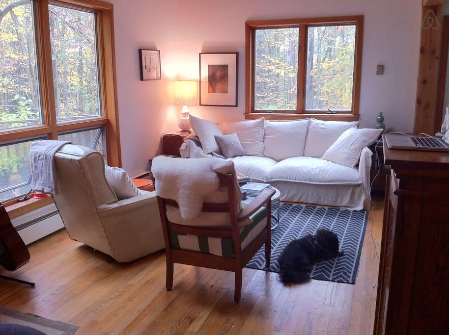 Pet Friendly Narrowsburg Airbnb Rentals