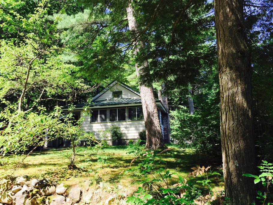 Rogers City Airbnb Rentals Pet Policy