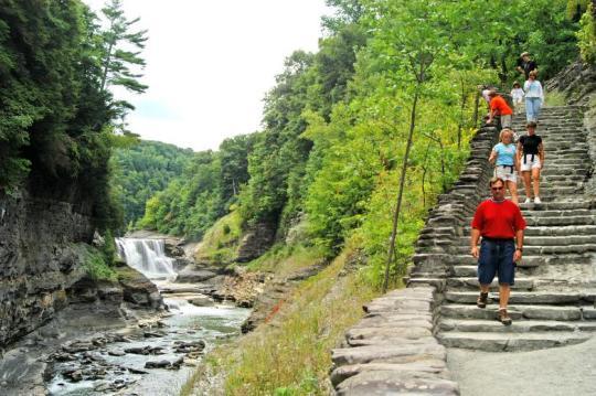 Letchworth State Park Campground Pet Policy