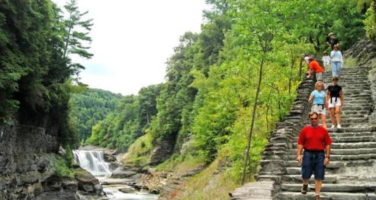 Letchworth State Park Campground Pet Policy