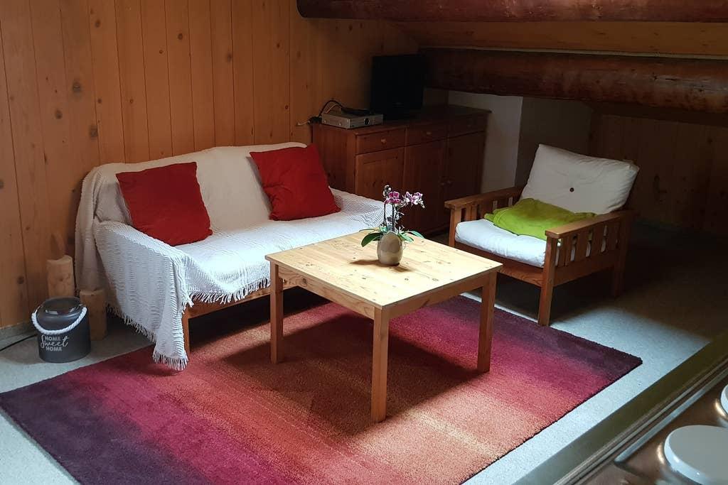 Pet Friendly Domat Ems Airbnb Rentals