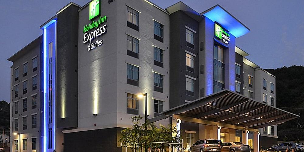 Pet Friendly Holiday Inn Express and Suites Jacksonville Camp Lejeune Area