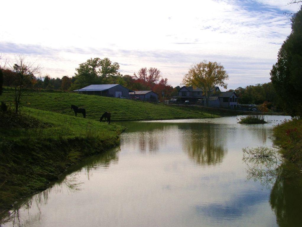 Bulls Gap HomeAway Rentals Pet Policy