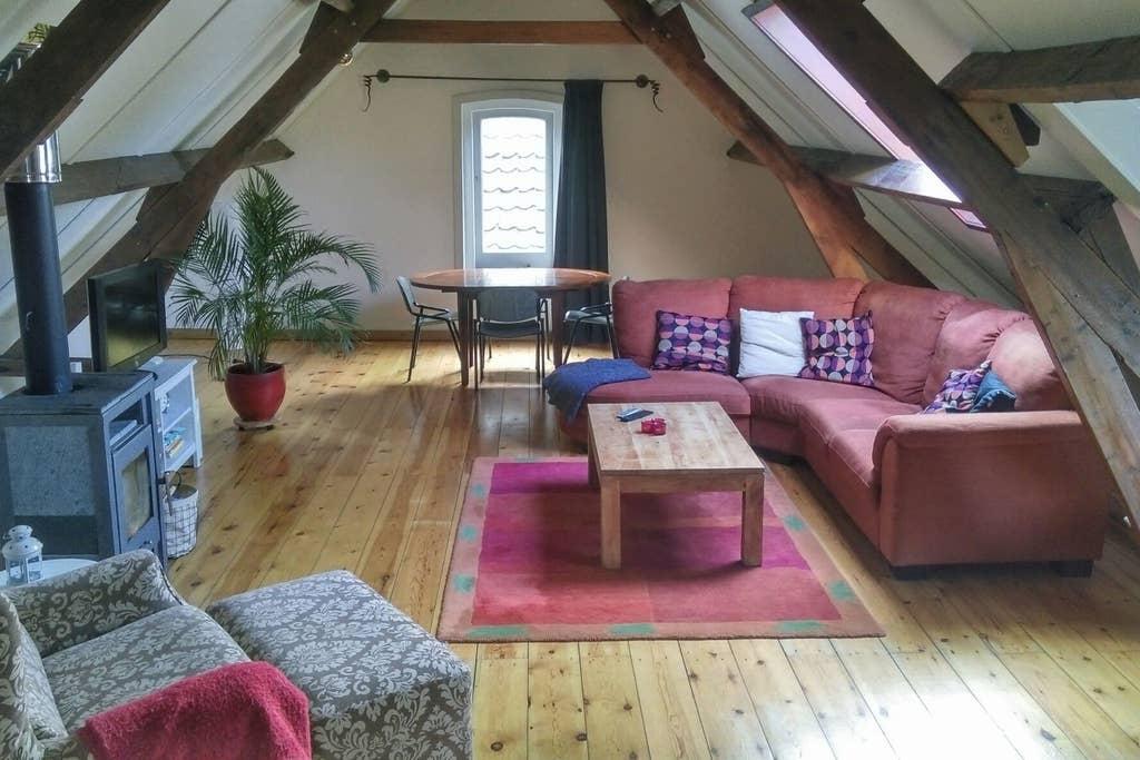 Pet Friendly Schiedam Airbnb Rentals