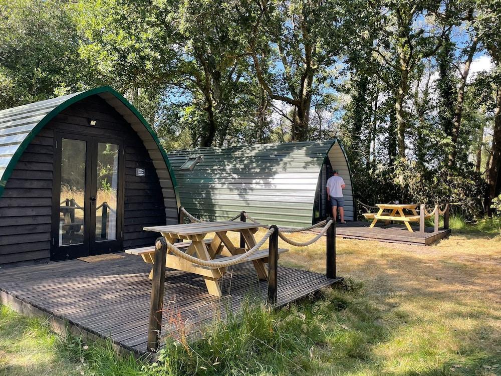 Pet Friendly Nuthatch Cabin at Cloudshill Glade - Campsite