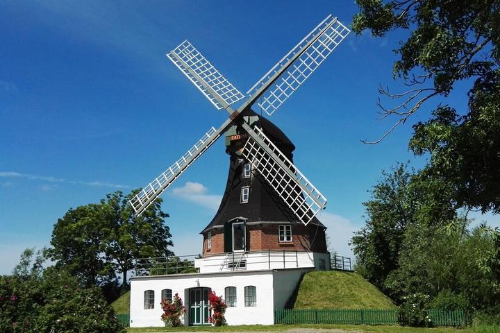 Pet Friendly Windmill Catharina