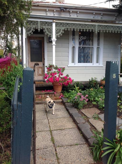 Pet Friendly Saint Kilda East Airbnb Rentals