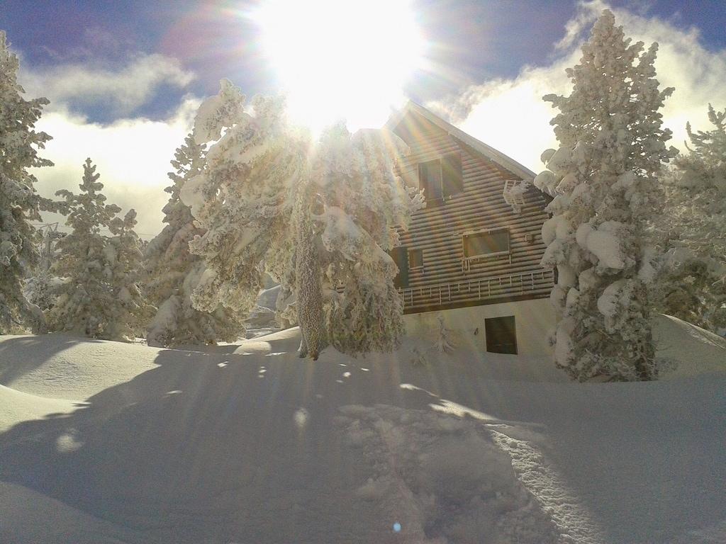 Pet Friendly Charming Chalet at the Foot of the Slopes