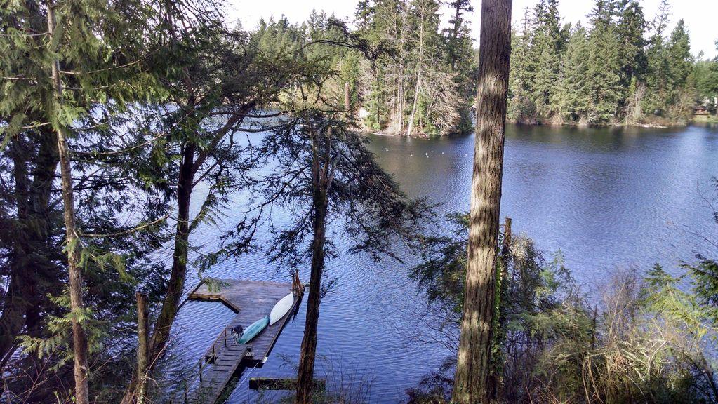 Pet Friendly Vacation Rentals In Olympia Wa Bringfido
