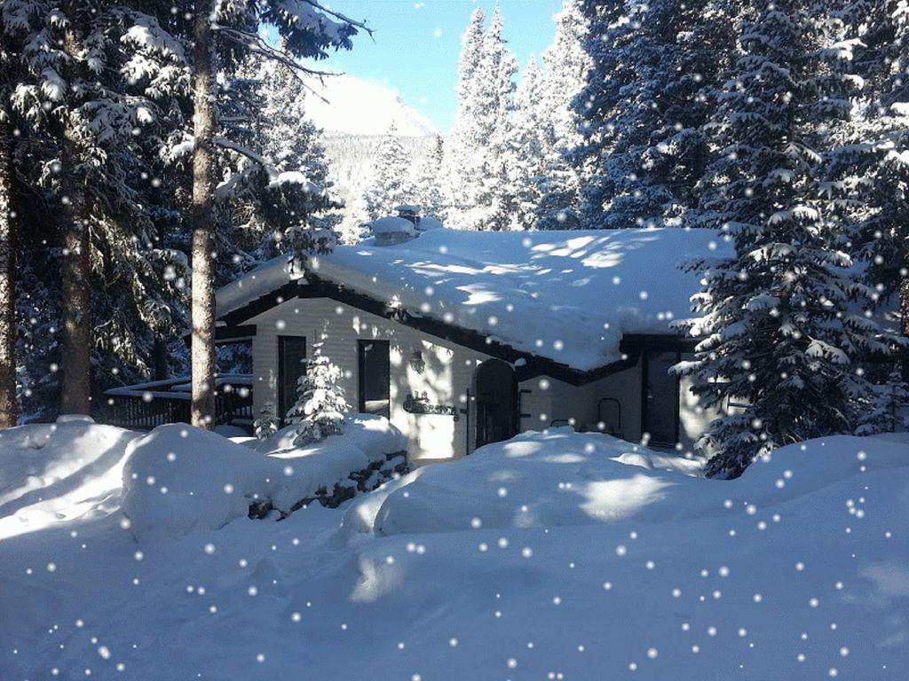 Pet Friendly Vacation Rentals In Breckenridge Co Bringfido