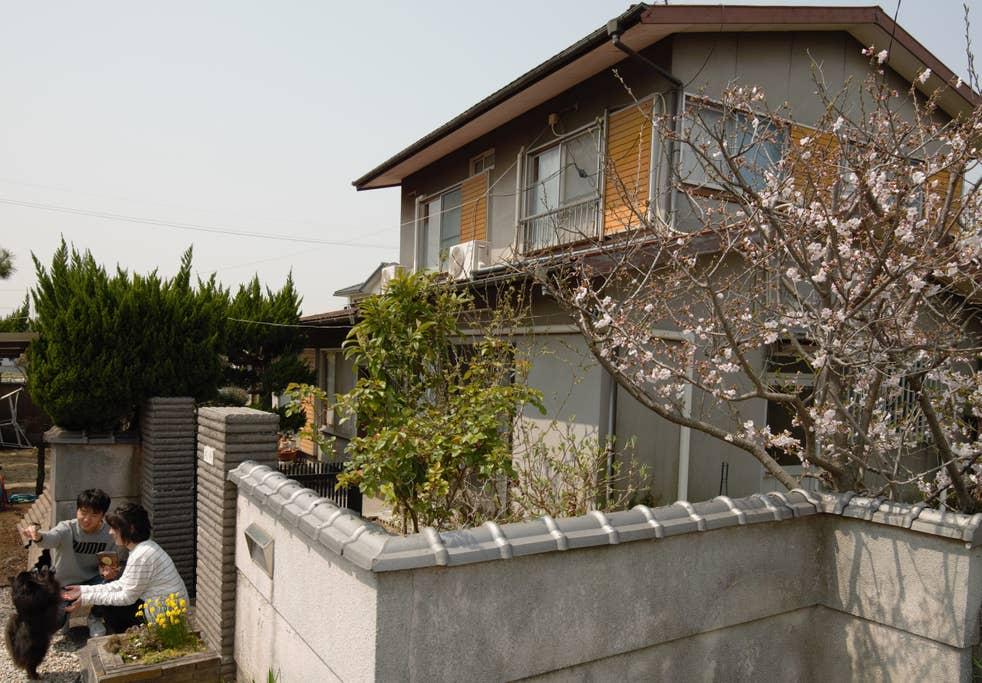 Pet Friendly Okayama Airbnb Rentals
