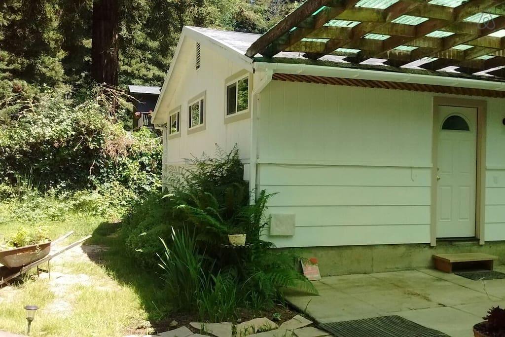 Trinidad Airbnb Rentals Pet Policy