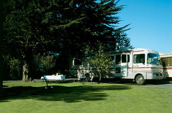 Pismo Sands Rv Park Pet Policy