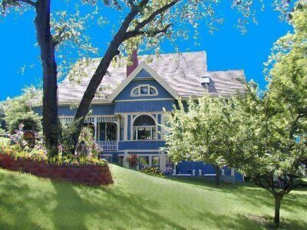 Robins Nest Bed Breakfast Pet Policy