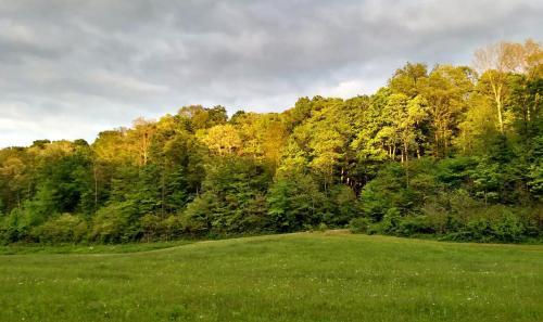 Pet Friendly Altenbrauch Farm - Camping in the Hocking Hills